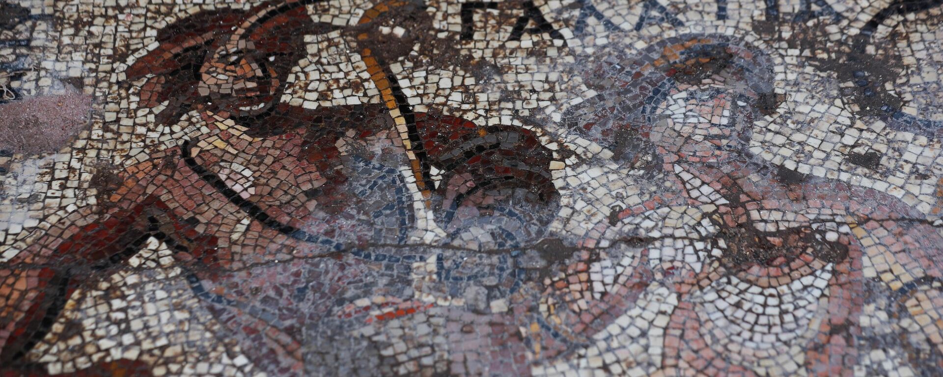 Un antiguo mosaico de la era romana fue descubierto en Siria  - Sputnik Mundo, 1920, 25.06.2023