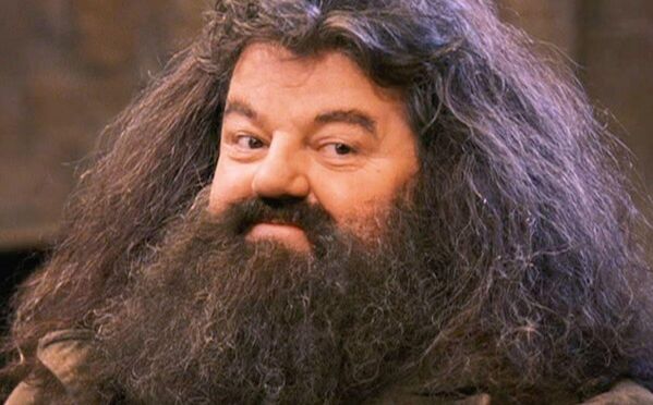 El 14 de octubre el actor de origen escocés Robbie Coltrane, conocido por su papel de Hagrid en las películas de Harry Potter, murió a los 72 años. También apareció en las películas de James Bond y La nueva gran estafa, entre otras, además de locutar en dibujos animados famosos. - Sputnik Mundo