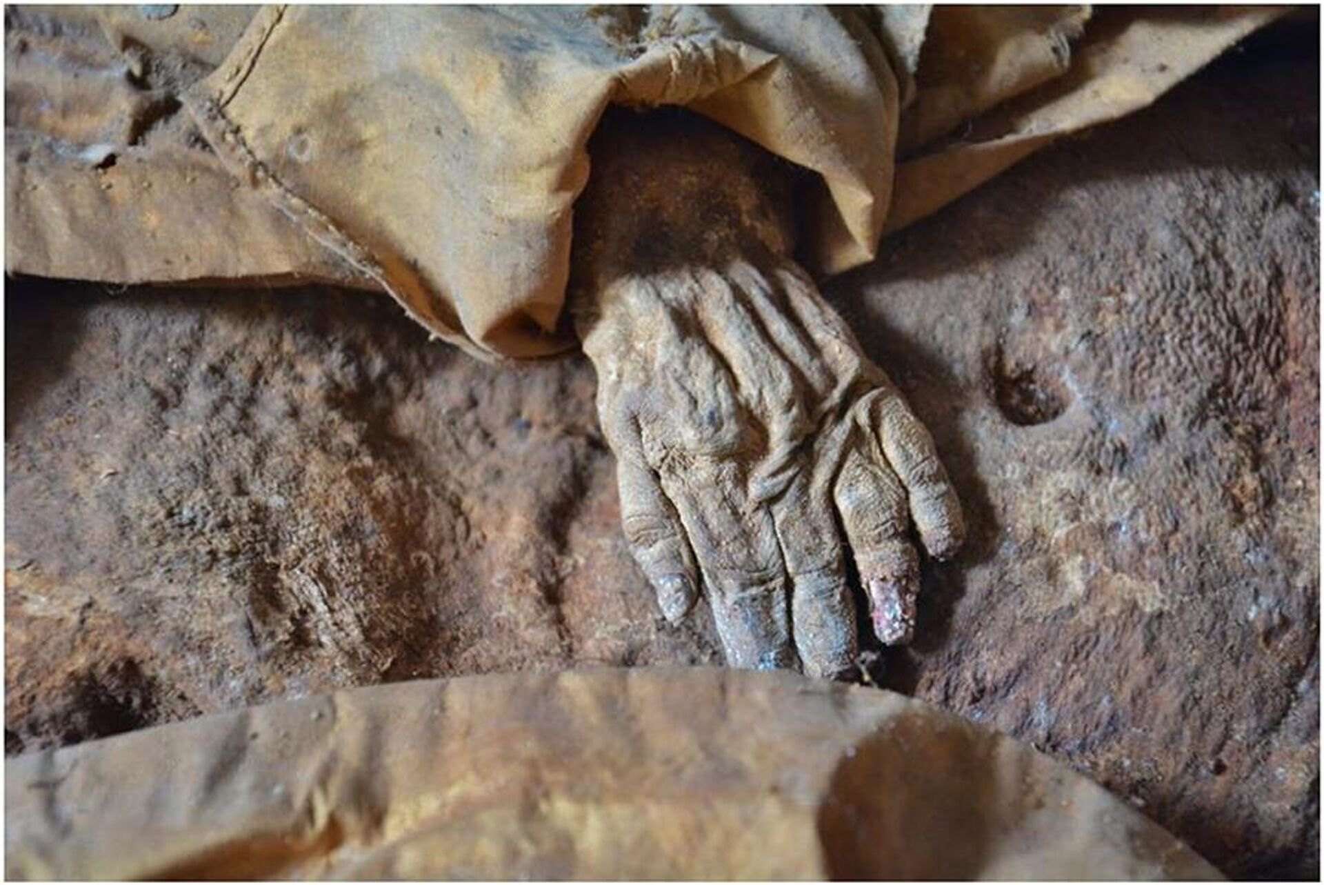 La mano de la momia infantil de la cripta de Hellmonsod - Sputnik Mundo, 1920, 27.10.2022