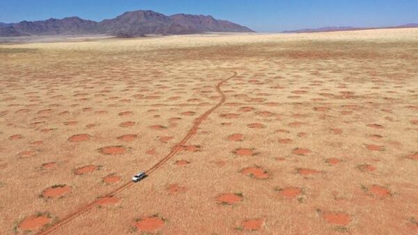 Un coche conduciendo por la Reserva Natural de NamibRand, una de las regiones del círculo de hadas de Namibia  - Sputnik Mundo