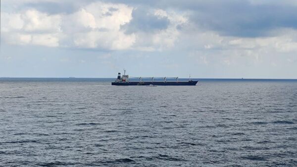 Un buque ucraniano con trigo en Mar Negro (archivo) - Sputnik Mundo