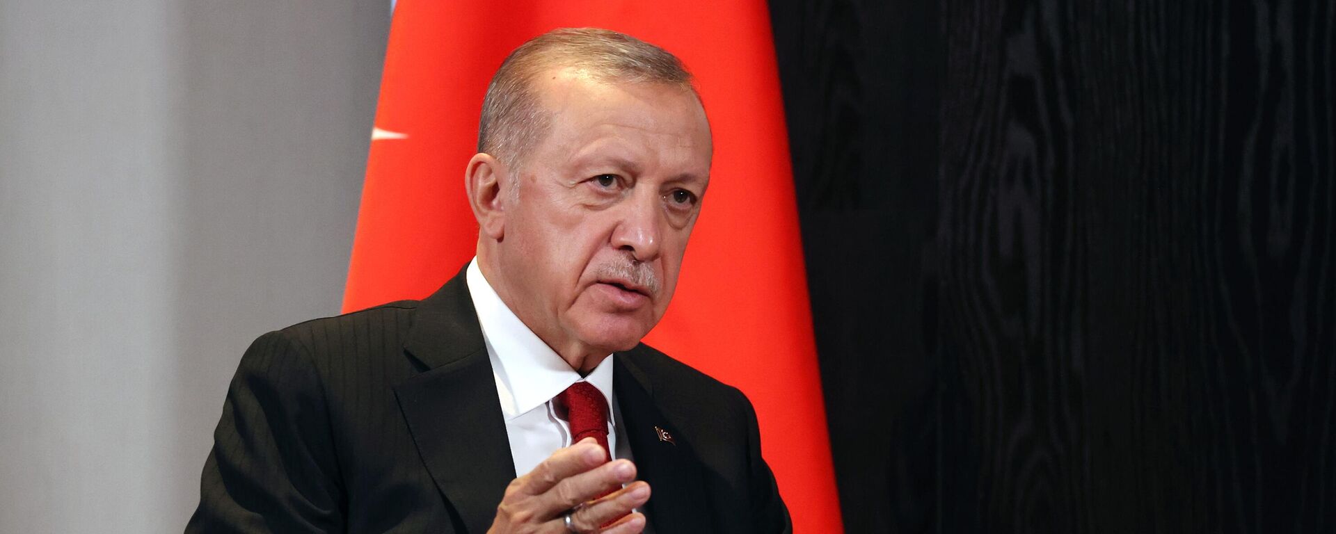 Recep Tayyip Erdogan, presidente de Turquía - Sputnik Mundo, 1920, 17.04.2023