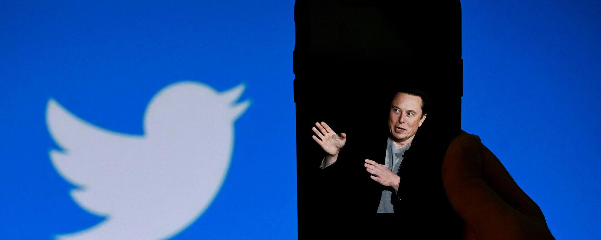 El magnate Elon Musk concretó en estos días la compra de Twitter. - Sputnik Mundo, 1920, 04.12.2022
