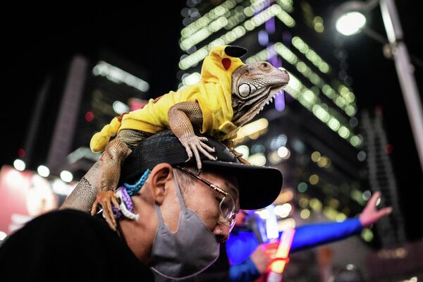 Una iguana disfrazada de Pokémon se sienta sobre la cabeza de un hombre que participa en una fiesta de Halloween en el distrito de Shibuya, en Tokio. - Sputnik Mundo