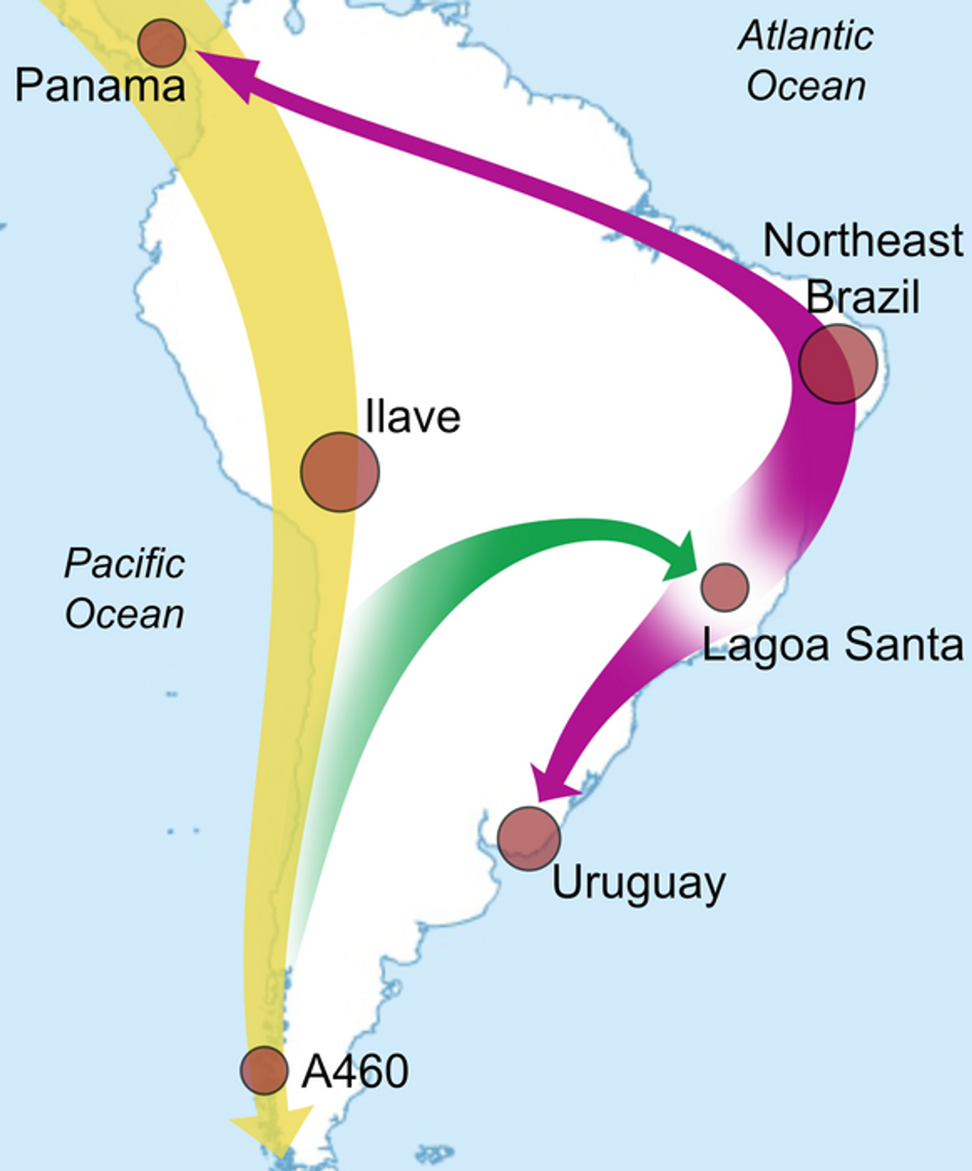 Mapa de migraciones del poblamiento temprano en Suramérica - Sputnik Mundo, 1920, 06.11.2022