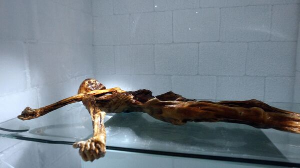 Otzi, la momia de unos 5.200 años de antigüedad - Sputnik Mundo