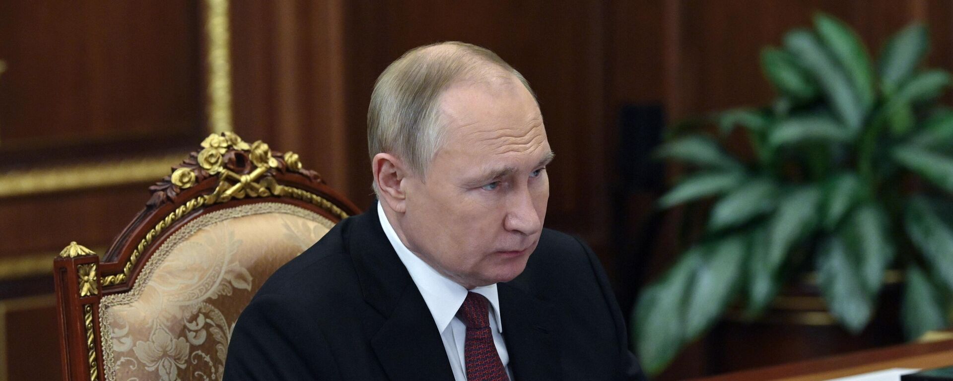 El presidente ruso, Vladímir Putin - Sputnik Mundo, 1920, 10.02.2023