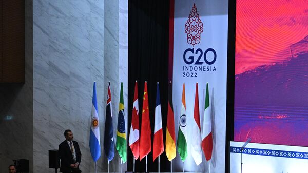Las banderas de los países del G20 en la cumbre de Indonesia - Sputnik Mundo