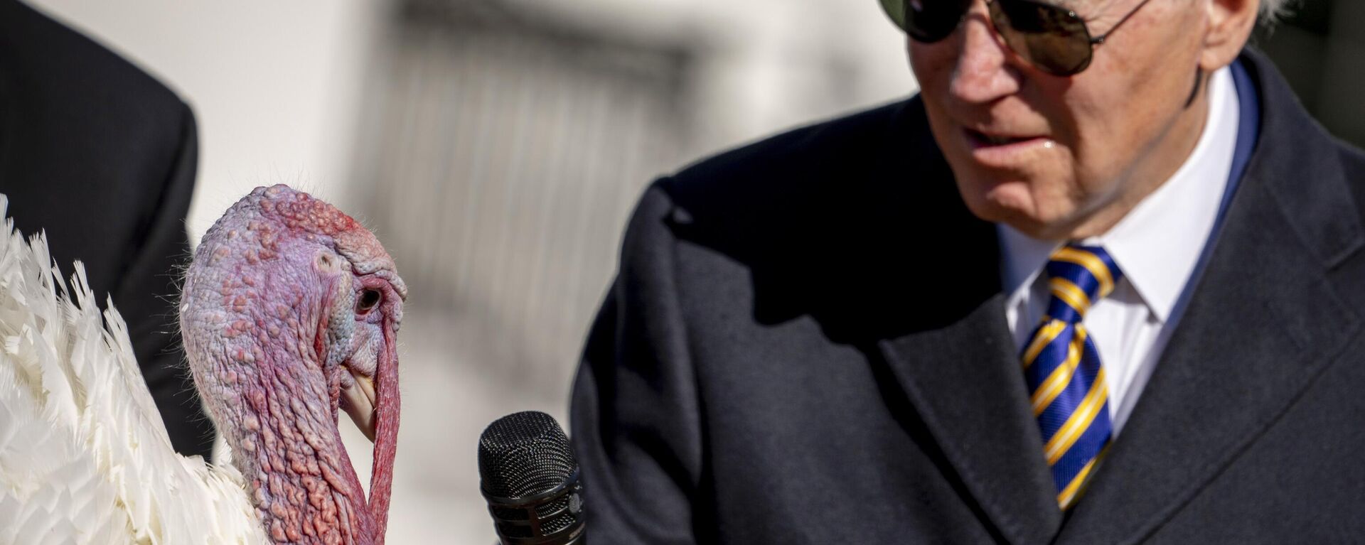 El presidente de EEUU, Joe Biden, sostiene el micrófono ante un pavo en el Día de Acción de Gracias - Sputnik Mundo, 1920, 26.11.2023