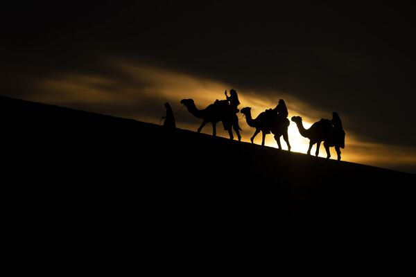 Varios turistas montan en camellos y recorren la ciudad de Mesaieed, en Catar. - Sputnik Mundo