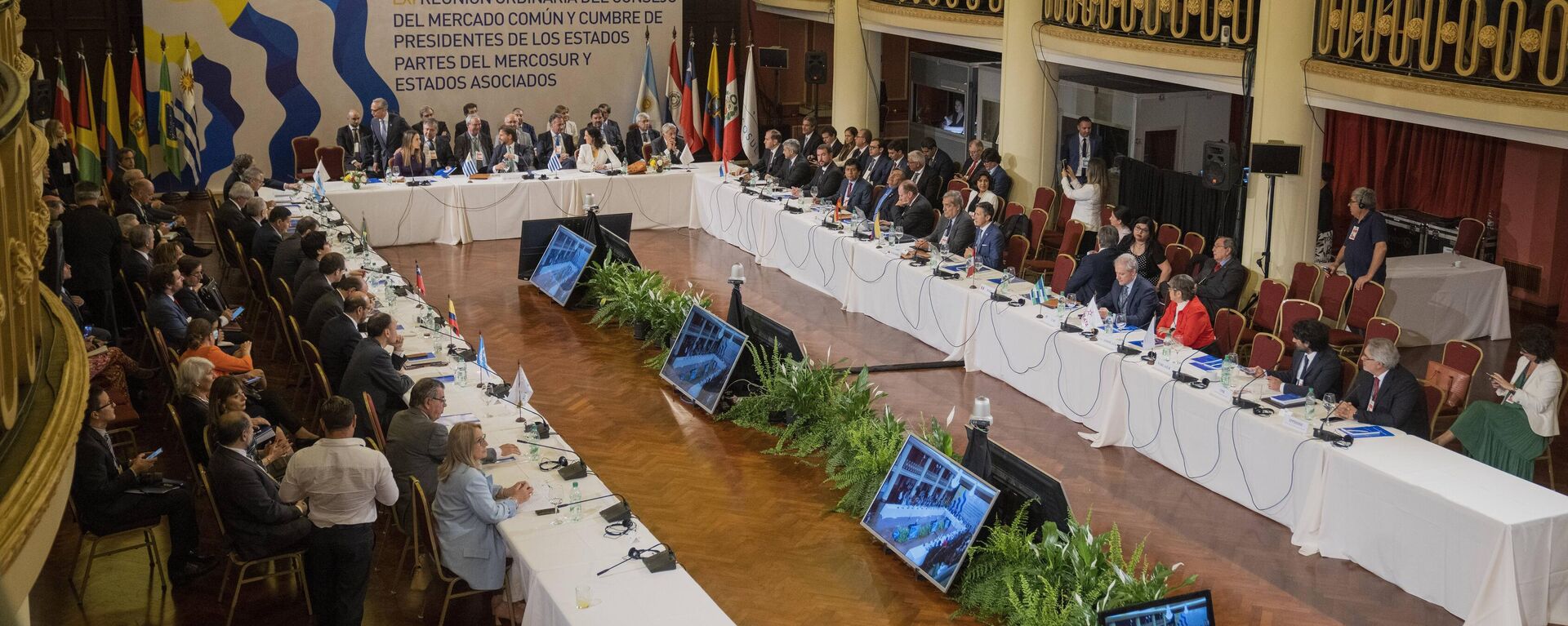 La 61 Cumbre de Jefes de Estado del Mercado Común del Sur (Mercosur) - Sputnik Mundo, 1920, 07.12.2022