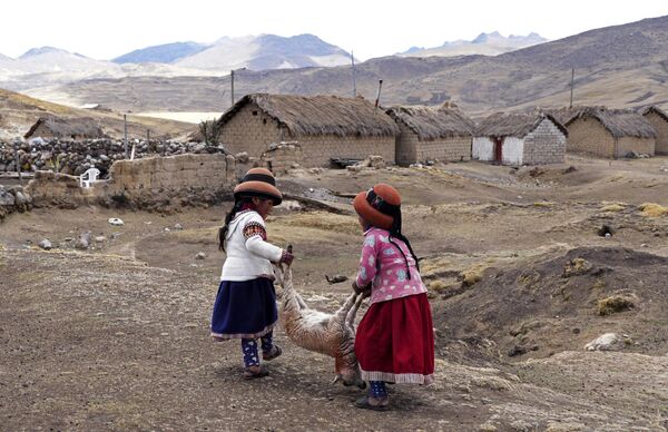Unas niñas cargan una oveja muerta en el pueblo de Cconchaccota, en la región peruana de Apurimac, azotada por una larga sequía. - Sputnik Mundo