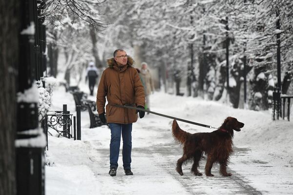 Un hombre junto a su mascota pasea por un parque de Moscú. - Sputnik Mundo