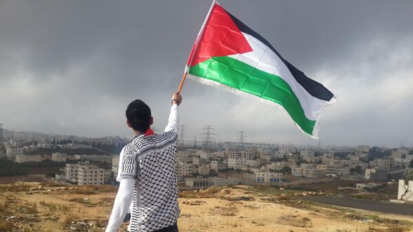 Un hombre ondeando una bandera palestina (imagen referencial) - Sputnik Mundo