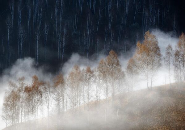 Cold and warm (Frío y calor), del fotógrafo rumano Soare Laurentiu, ganó en la categoría plantas y hongos. - Sputnik Mundo