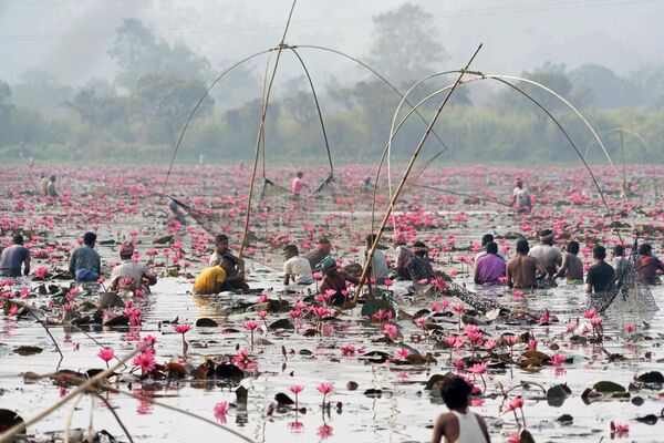 Pesca comunitaria en un estanque de la aldea de Kolongpar, en el estado indio de Assam. - Sputnik Mundo