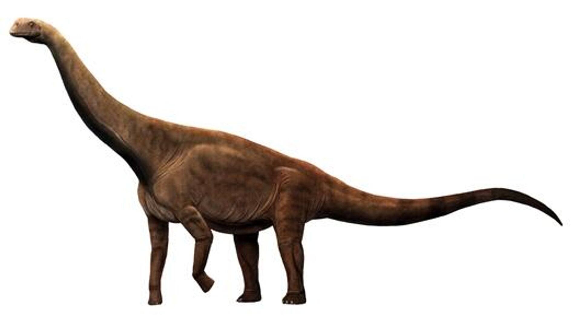 Restauración de un dinosaurio con patas de lagarto del Jurásico Medio - Sputnik Mundo, 1920, 09.01.2023