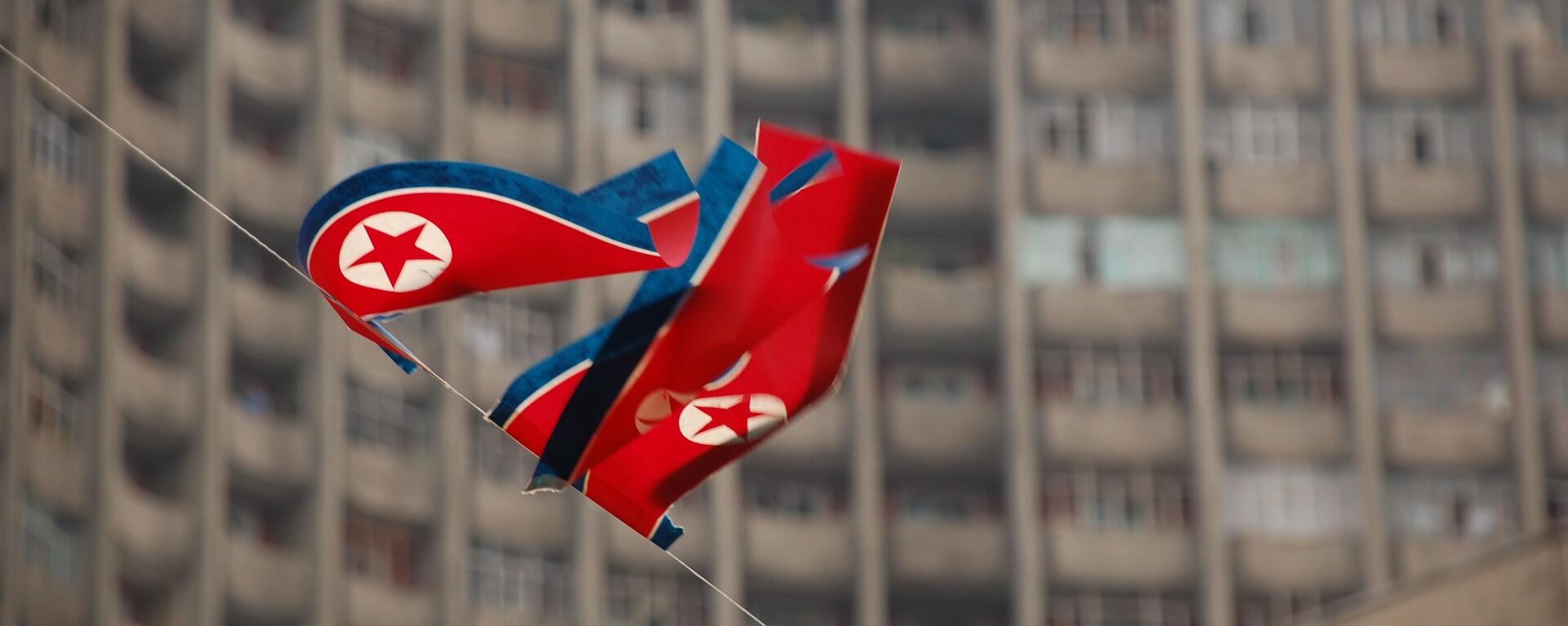 Las banderas de Corea del Norte - Sputnik Mundo, 1920, 19.01.2024