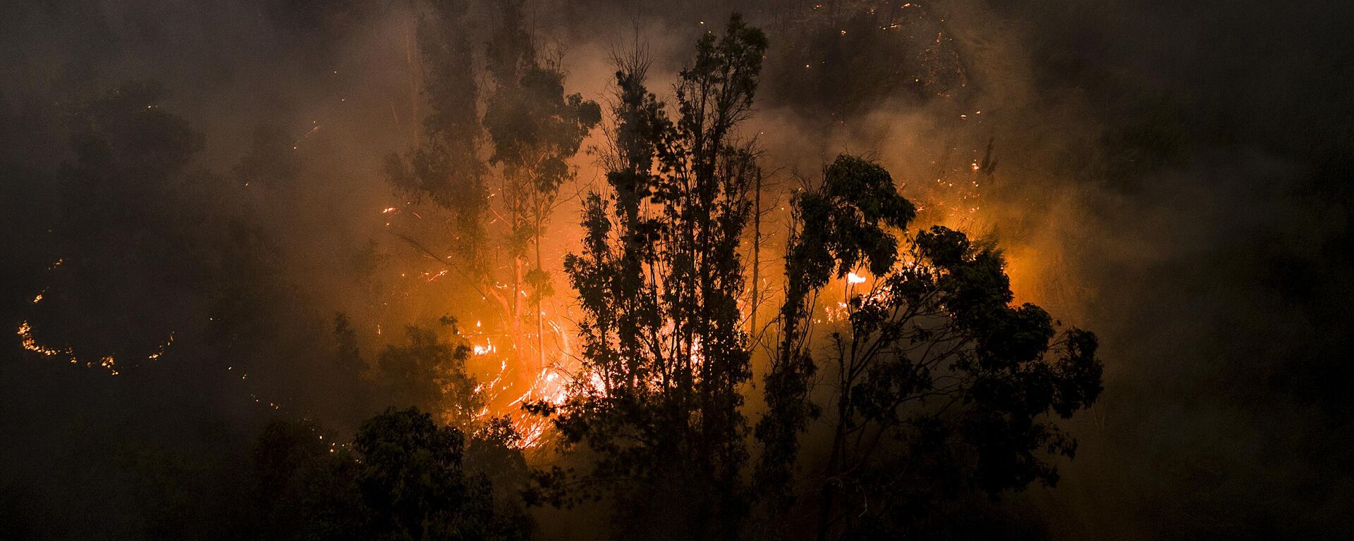 Incendios forestales en Chile - Sputnik Mundo, 1920, 05.02.2023