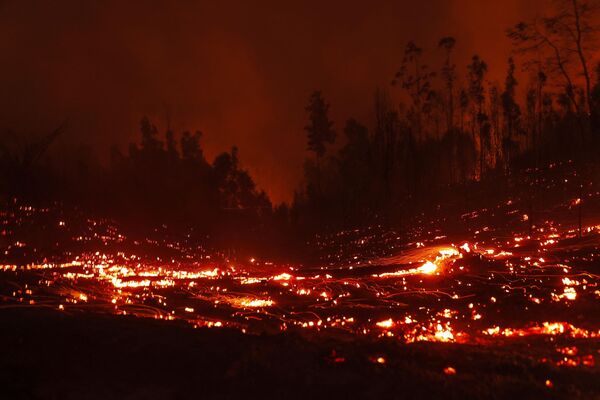 De acuerdo con los reportes del Ministerio del Interior chileno, más de 45.000 hectáreas de bosque fueron devorados por el fuego. Actualmente hay 251 incendios activos en el país.En la foto: un incendio forestal cerca de la ciudad de Puren. - Sputnik Mundo