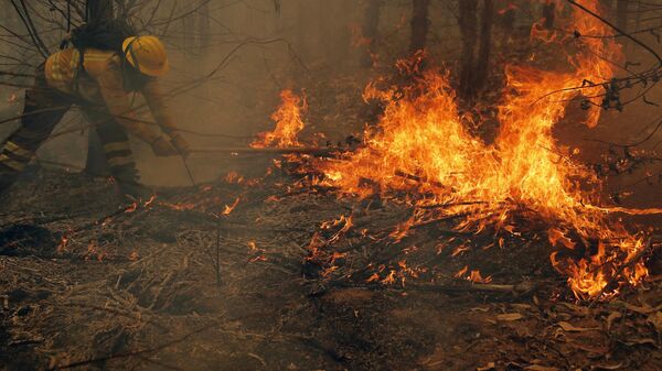 Un brigadista de la Corporación Nacional Forestal (CONAF) combate un incendio en Nacimiento, provincia de Concepción, Chile, el 4 de febrero de 2023 - Sputnik Mundo