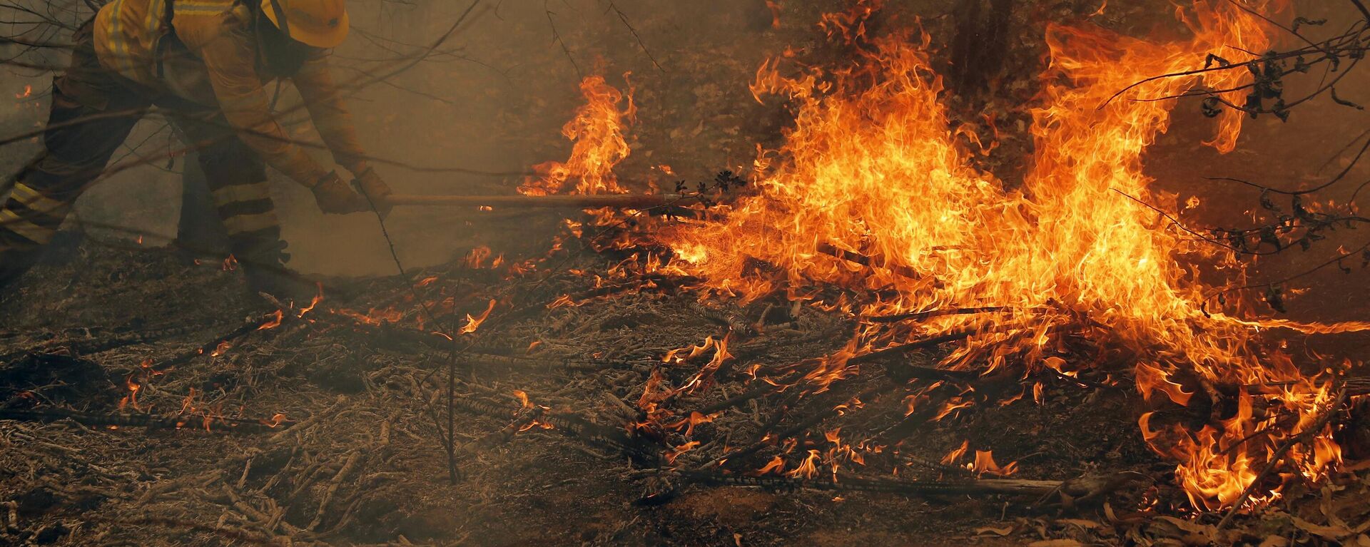Un brigadista de la Corporación Nacional Forestal (CONAF) combate un incendio en Nacimiento, provincia de Concepción, Chile, el 4 de febrero de 2023. - Sputnik Mundo, 1920, 02.03.2023