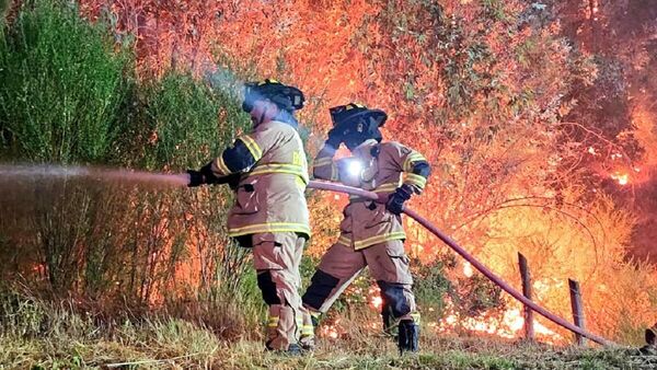 Bomberos combaten incendios forestales en Chile - Sputnik Mundo