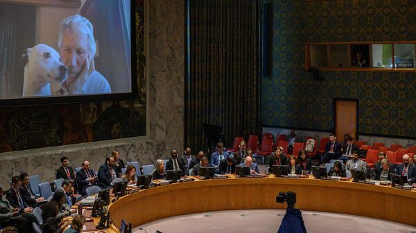 El músico británico Roger Waters participó en el Consejo de Seguridad de Naciones Unidas para abordar la crisis en Ucrania. - Sputnik Mundo