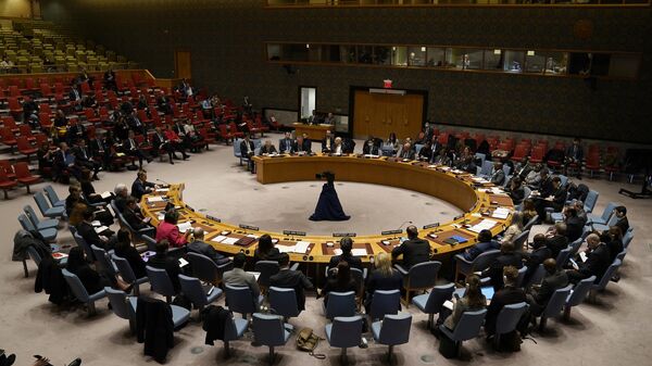 Vista general de una reunión del Consejo de Seguridad de las Naciones Unidas, el 6 de febrero de 2023 - Sputnik Mundo