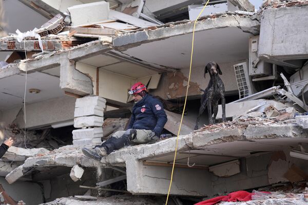 Un socorrista con un perro rastreador busca en un edificio derrumbado en Antakya. - Sputnik Mundo