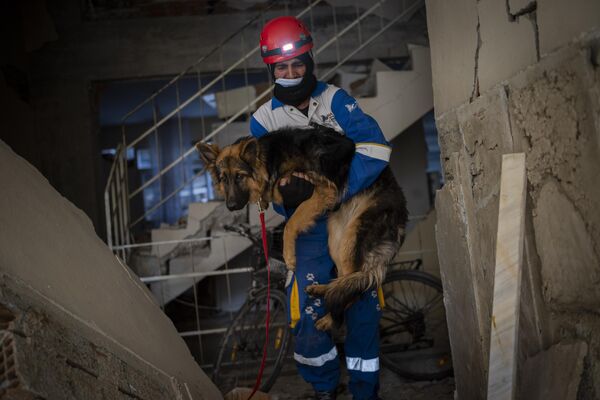 Miembros del grupo turco de protección de animales HAYTAP con un perro rescatado que llevaba siete días atrapado en una casa afectada por el terremoto en el sureste de Turquía. - Sputnik Mundo