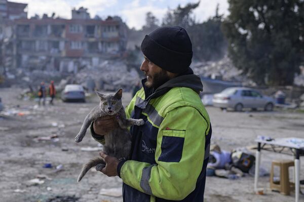 Un rescatista con un gato sacado de los escombros de un edificio de apartamentos en la zona de desescombro de Antakya nueve días después del terremoto en Turquía. - Sputnik Mundo