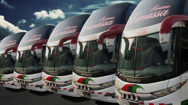 Unidades transportadoras de pasajeros de la empresa peruana Cavassa - Sputnik Mundo