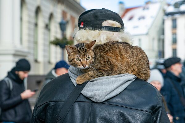 Un hombre con un gato sobre su hombro participa en una concentración por la conservación del monumento al poeta ruso Aleksandr Pushkin en la plaza del Ayuntamiento de Riga, capital de Letonia. - Sputnik Mundo