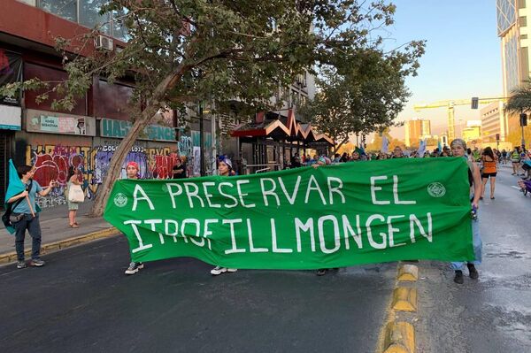Festival por el Agua, movilización convocada por organizaciones sociales para una nueva legislación del agua en Chile. - Sputnik Mundo
