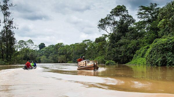 El río Acre, que recorre Perú, Bolivia y Brasil  - Sputnik Mundo