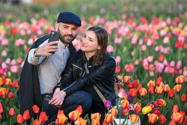 Una pareja hace una foto en un campo de tulipanes a las afueras de Milán, Italia. - Sputnik Mundo