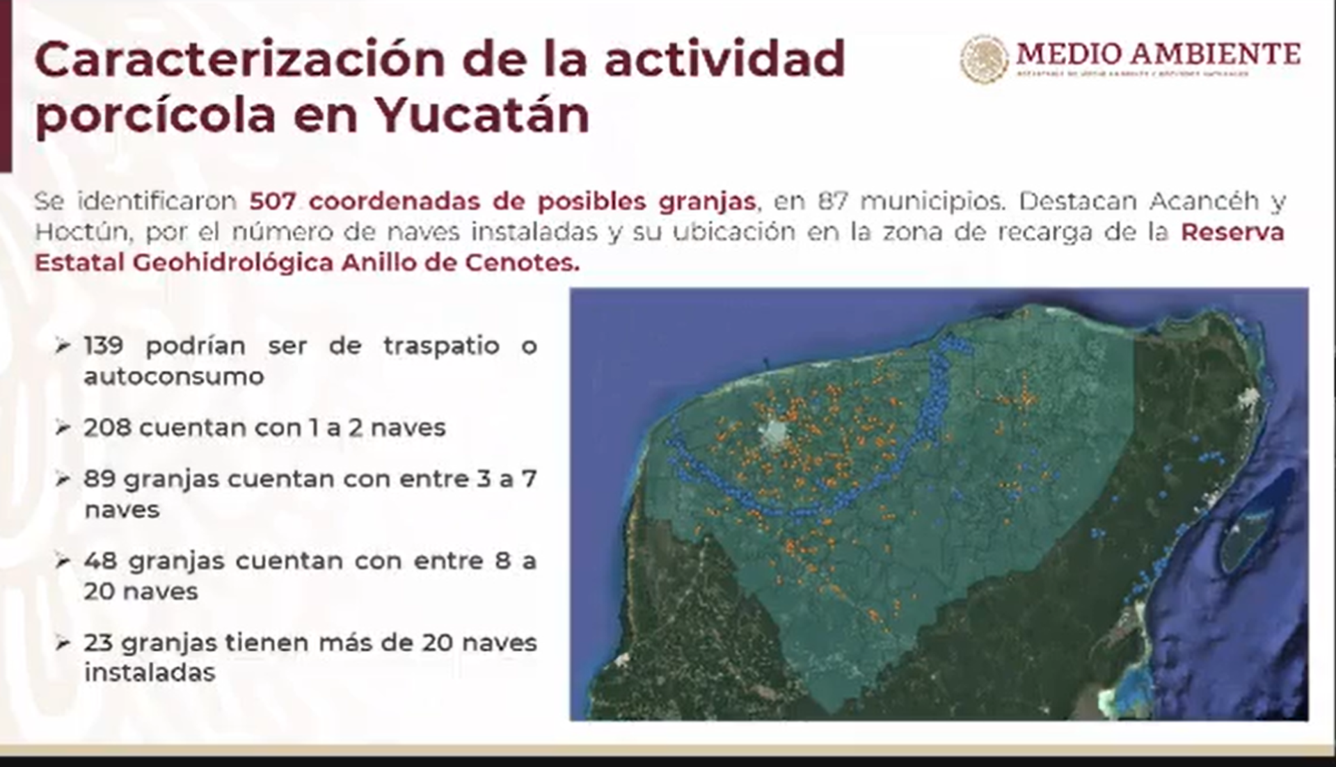 Mapa de granjas de cerdo en Yucatán presentado por la Semarnat - Sputnik Mundo, 1920, 04.04.2023