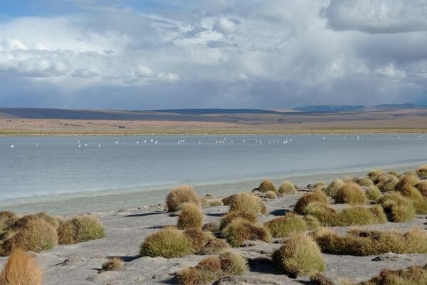 Salar de Uyuni, en el departamento de Potosí, Bolivia - Sputnik Mundo