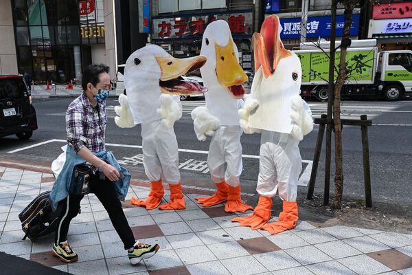 Activistas del grupo de defensa de los animales PETA ante una tienda de ropa de una cadena minorista internacional en Tokio, Japón. - Sputnik Mundo