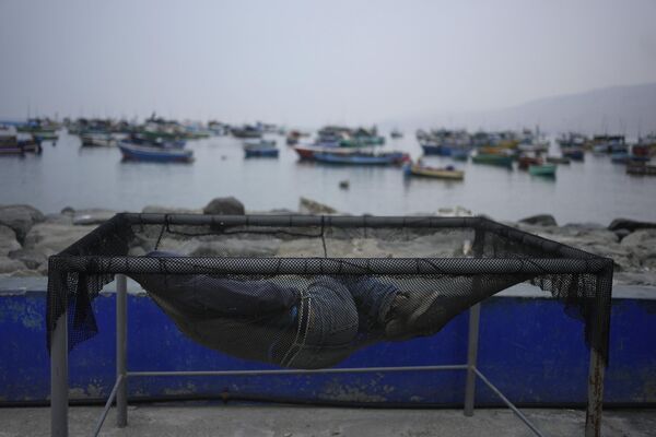 Un pescador duerme en una red en el puerto de Ancón, Perú. - Sputnik Mundo