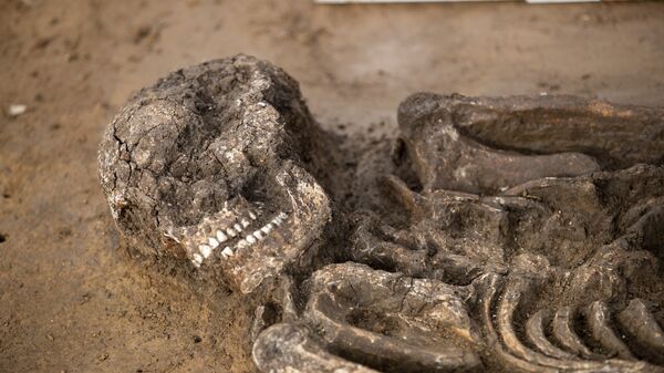 Esqueleto de 6.500 años de antigüedad en una tumba en Kitzingen, en Alemania, el 5 de marzo de 2019  (archivo)
 - Sputnik Mundo