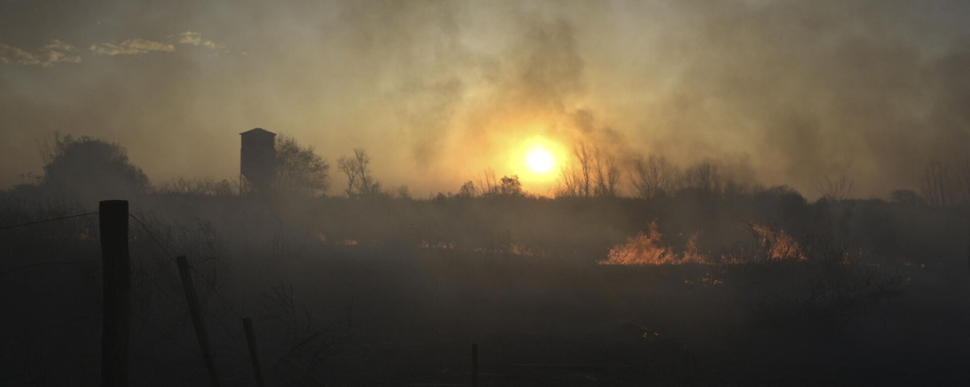 Incendios forestales arrasan humedales en islas del delta del Paraná, cerca de Victoria, en la provincia argentina de Entre Ríos, en 2022 - Sputnik Mundo, 1920, 29.04.2023