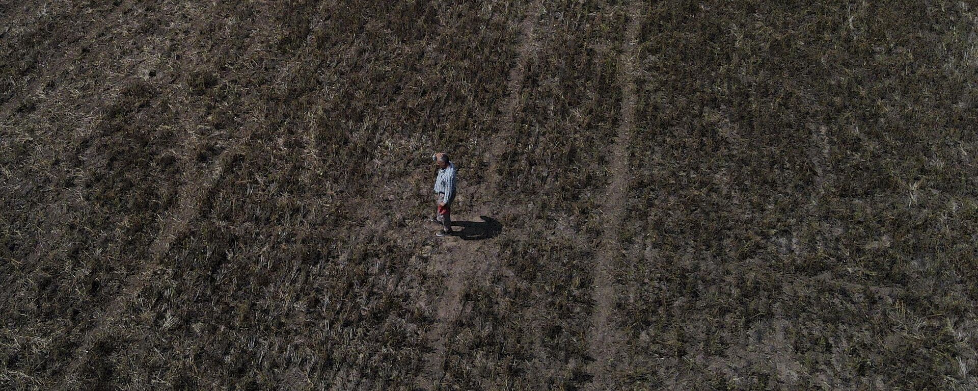 Un productor rural argentino camina entre un campo de soja afectado por la sequía - Sputnik Mundo, 1920, 12.05.2023