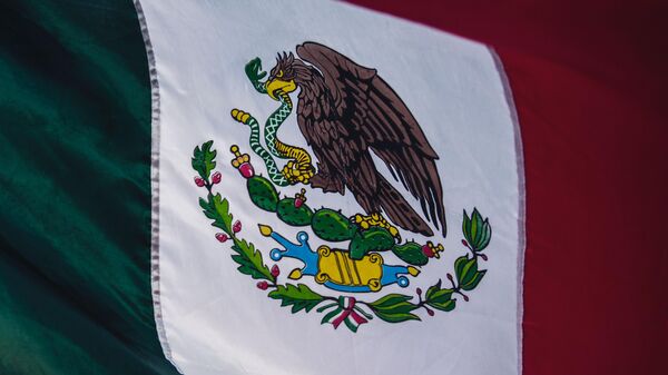 México es uno de los miembros de la Organización para la Cooperación y el Desarrollo Económicos (OCDE). - Sputnik Mundo