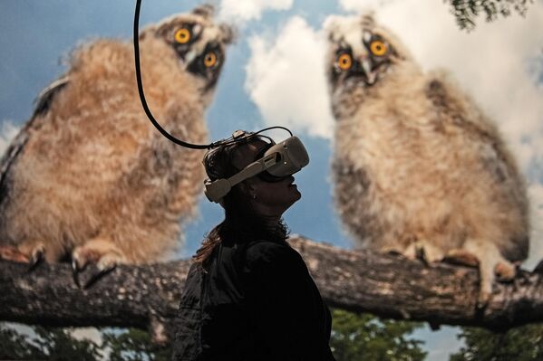 Un visitante utiliza las gafas de realidad virtual en la exposición The Fragile Paradise, en Oberhausen (Alemania), que celebra la historia del clima de nuestro planeta. - Sputnik Mundo