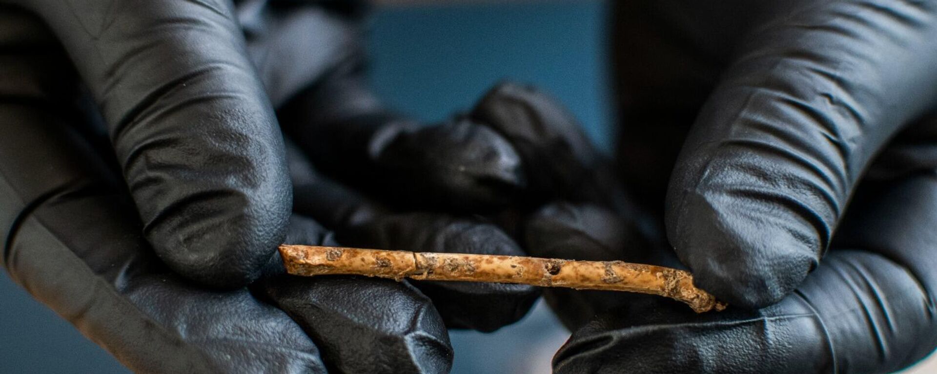 La flauta de 12.000 años de antigüedad en el norte de Israel - Sputnik Mundo, 1920, 10.06.2023