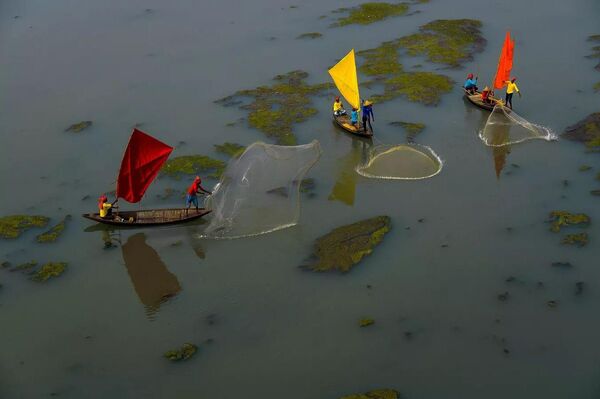 Pescando en el río Zamshala. La India. - Sputnik Mundo