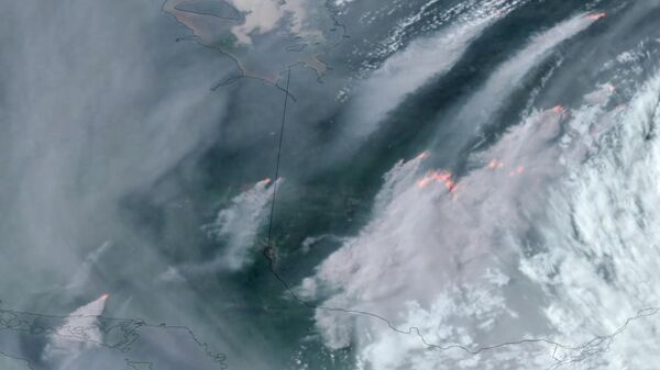 Incendios forestales en Canadá arrasan con 5,3 millones de hectáreas - Sputnik Mundo