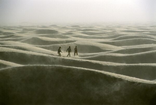 Miembros de la expedición del viajero polaco Jacek Palkiewicz al desierto del Sáhara. - Sputnik Mundo